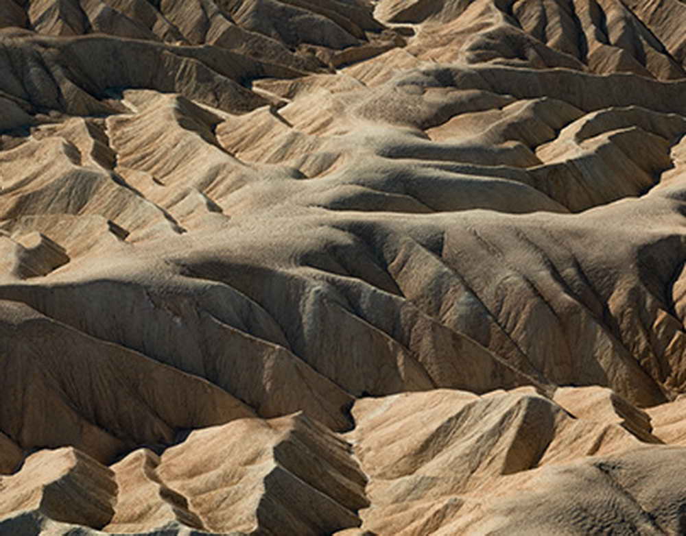 Напали  обглодали. Сколько человек погибло в Тайгане от лап хищников