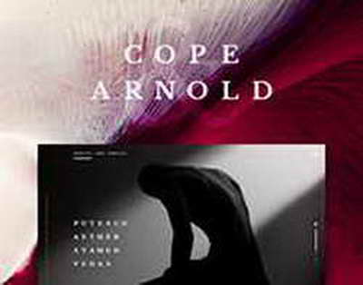 У Астон Виллы 9 побед подряд. Команда Эмери не проигрывает с 1 ноября, дальше  МЮ