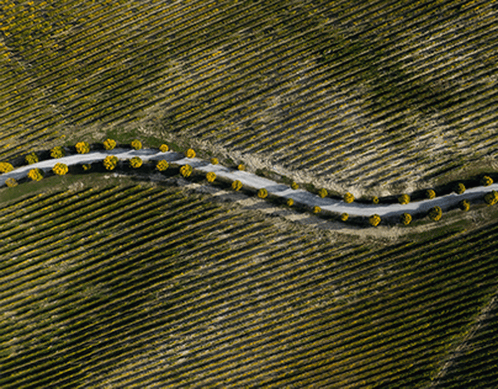 Барбашева признали второй звездой матча Вегас  Ванкувер